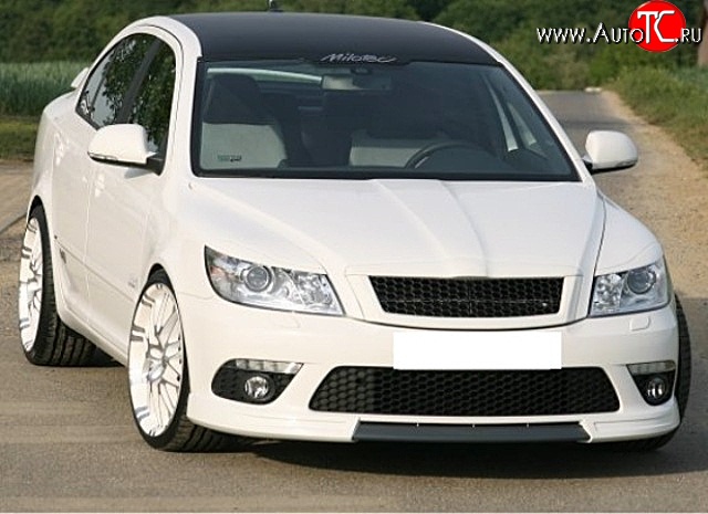 3 699 р. Решётка радиатора RS Style Skoda Octavia A5 рестайлинг универсал (2008-2013) (Алюминиевая черная сетка, Неокрашенная)  с доставкой в г. Таганрог