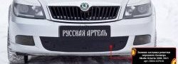 1 059 р. Зимняя заглушка решетки переднего бампера РА  Skoda Octavia  A5 (2008-2013) лифтбэк рестайлинг, рестайлинг универсал  с доставкой в г. Таганрог. Увеличить фотографию 2