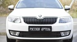 979 р. Зимняя заглушка решетки переднего бампера РА  Skoda Octavia  A7 (2012-2020) дорестайлинг лифтбэк, дорестайлинг универсал, рестайлинг универсал  с доставкой в г. Таганрог. Увеличить фотографию 2