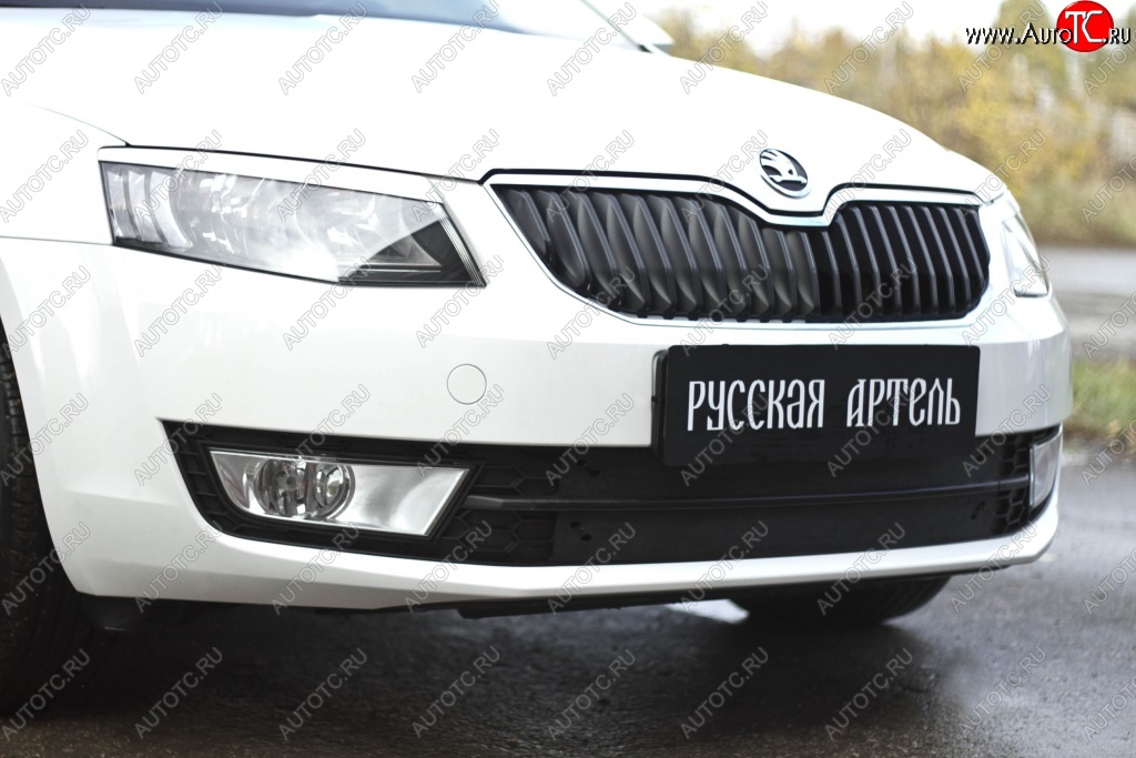 979 р. Зимняя заглушка решетки переднего бампера РА  Skoda Octavia  A7 (2012-2020) дорестайлинг лифтбэк, дорестайлинг универсал, рестайлинг универсал  с доставкой в г. Таганрог