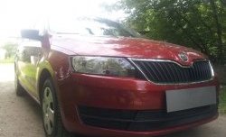 2 339 р. Сетка на бампер Russtal (черная) Skoda Rapid NH3 дорестайлинг лифтбэк (2012-2017)  с доставкой в г. Таганрог. Увеличить фотографию 3