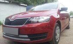 2 399 р. Сетка на бампер Russtal (хром) Skoda Rapid NH3 дорестайлинг лифтбэк (2012-2017)  с доставкой в г. Таганрог. Увеличить фотографию 4