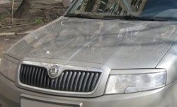 1 649 р. Реснички на фары CT Skoda Superb седан 3U дорестайлинг (2001-2006) (Неокрашенные)  с доставкой в г. Таганрог. Увеличить фотографию 2