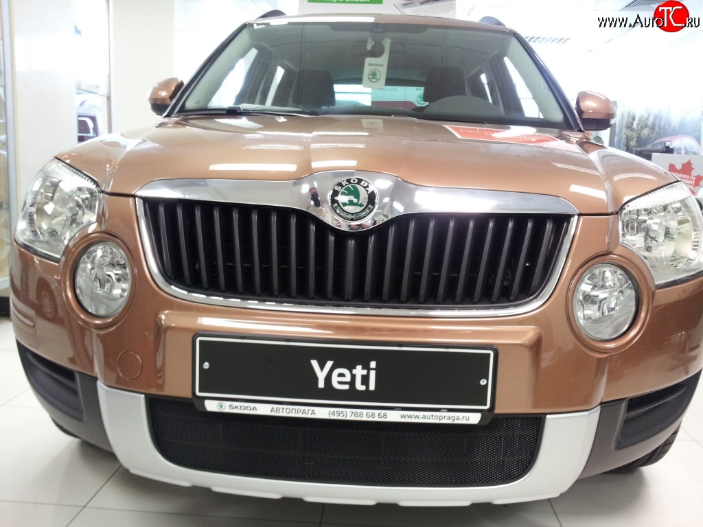 1 469 р. Сетка на бампер Russtal (черная)  Skoda Yeti (2009-2013)  с доставкой в г. Таганрог