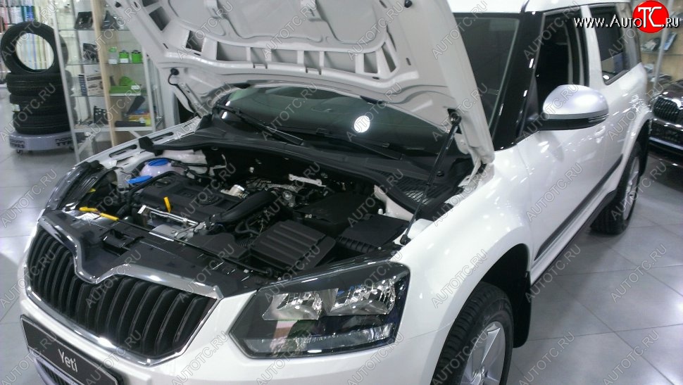 2 199 р. Газовый упор капота Berkut Skoda Yeti (2009-2013)  с доставкой в г. Таганрог