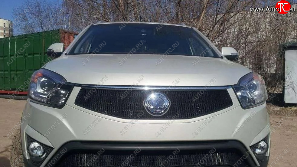 1 469 р. Защитная сетка в решетку радиатора Russtal  SSANGYONG Actyon (2013-2021) рестайлинг  с доставкой в г. Таганрог