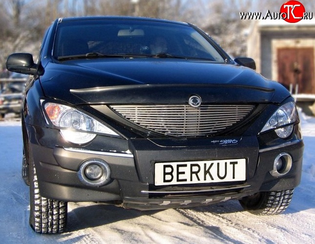 5 999 р. Декоративная вставка решетки радиатора Berkut SSANGYONG Actyon Sport (2006-2011)  с доставкой в г. Таганрог