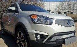 1 539 р. Сетка в решетку радиатора Russtal  SSANGYONG Actyon (2013-2021) рестайлинг (хром)  с доставкой в г. Таганрог. Увеличить фотографию 2