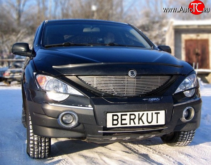 5 999 р. Декоративная вставка решетки радиатора Berkut SSANGYONG Actyon 1 (2006-2010)  с доставкой в г. Таганрог