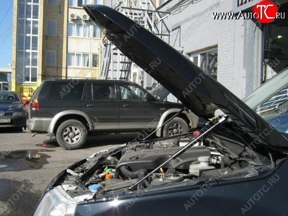 2 199 р. Газовые упоры капота Berkut Suzuki Grand Vitara JT 5 дверей дорестайлинг (2005-2008)  с доставкой в г. Таганрог