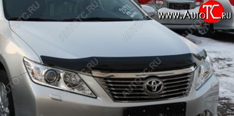 2 879 р. Дефлектор капота NovLine-Autofamily (рестайлинг)  Toyota Camry  XV50 (2011-2014) дорестайлинг  с доставкой в г. Таганрог