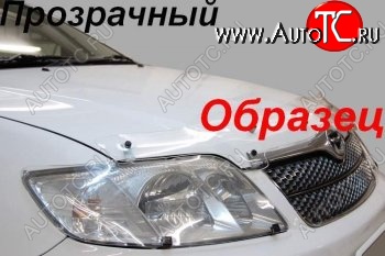 2 079 р. Защита фар (J120-J125) CA-Plastic  Toyota Land Cruiser Prado  J120 (2002-2009) (Classic прозрачный)  с доставкой в г. Таганрог