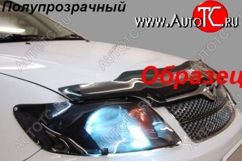 2 079 р. Защита фар (J120-J125) CA-Plastic  Toyota Land Cruiser Prado  J120 (2002-2009) (Classic полупрозрачный)  с доставкой в г. Таганрог