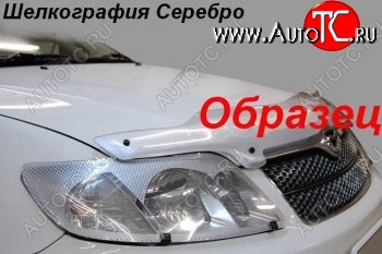 2 299 р. Защита фар (J120-J125) CA-Plastic  Toyota Land Cruiser Prado  J120 (2002-2009) (Шелкография серебро)  с доставкой в г. Таганрог