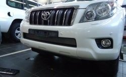 1 539 р. Сетка на бампер Russtal (хром)  Toyota Land Cruiser Prado  J150 (2009-2013) дорестайлинг  с доставкой в г. Таганрог. Увеличить фотографию 2