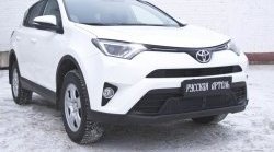 429 р. Реснички на фары RA Toyota RAV4 XA40 5 дв. рестайлинг (2015-2019) (Неокрашенные)  с доставкой в г. Таганрог. Увеличить фотографию 2