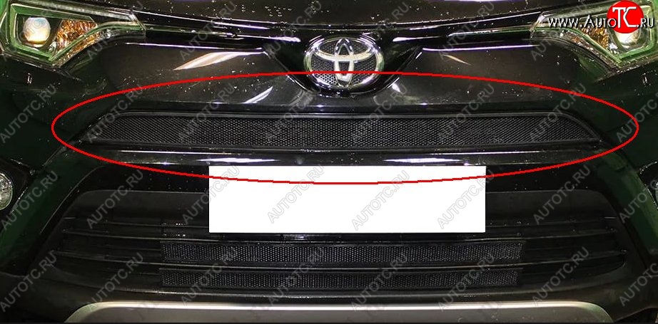 1 469 р. Сетка в решетку радиатора Russtal  Toyota RAV4  XA40 (2015-2019) 5 дв. рестайлинг (черная)  с доставкой в г. Таганрог