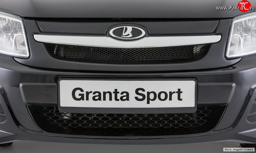 1 939 р. Решётка радиатора Granta Sport ВИС 2349 бортовой грузовик дорестайлинг (2012-2018) (Неокрашенная)  с доставкой в г. Таганрог