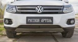 1 639 р. Защитная сетка решетки переднего бампера (Track & Field) РА Volkswagen Tiguan NF рестайлинг (2011-2017)  с доставкой в г. Таганрог. Увеличить фотографию 2