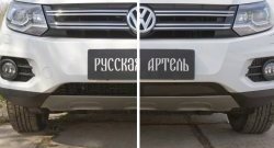 1 639 р. Защитная сетка решетки переднего бампера (Track & Field) РА Volkswagen Tiguan NF рестайлинг (2011-2017)  с доставкой в г. Таганрог. Увеличить фотографию 4